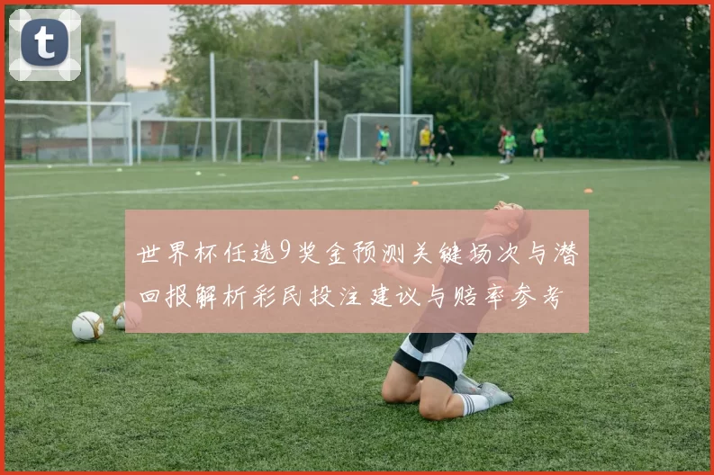 世界杯任选9奖金预测关键场次与潜回报解析彩民投注建议与赔率参考