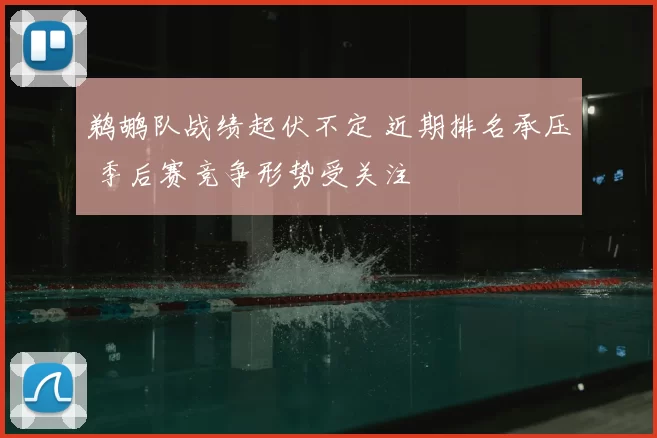 鹈鹕队战绩起伏不定 近期排名承压 季后赛竞争形势受关注