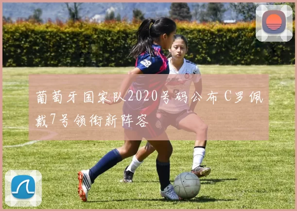 葡萄牙国家队2020号码公布 C罗佩戴7号领衔新阵容