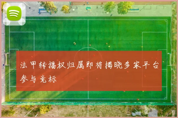 法甲转播权归属即将揭晓多家平台参与竞标