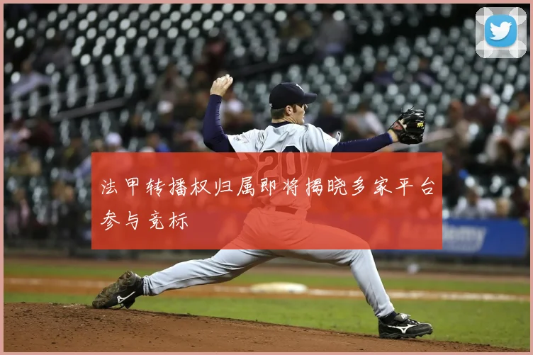 法甲转播权归属即将揭晓多家平台参与竞标